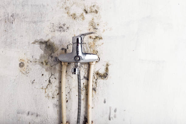 Home Mold Removal in Pleasant Garden, NC