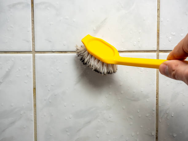 Trusted Pleasant Garden, NC Mold Removal Experts