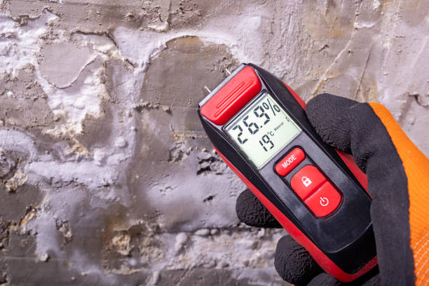 Best Emergency Mold Removal  in Pleasant Garden, NC