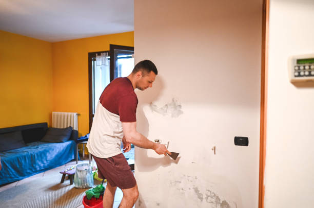 Office Mold Removal Services in Pleasant Garden, NC